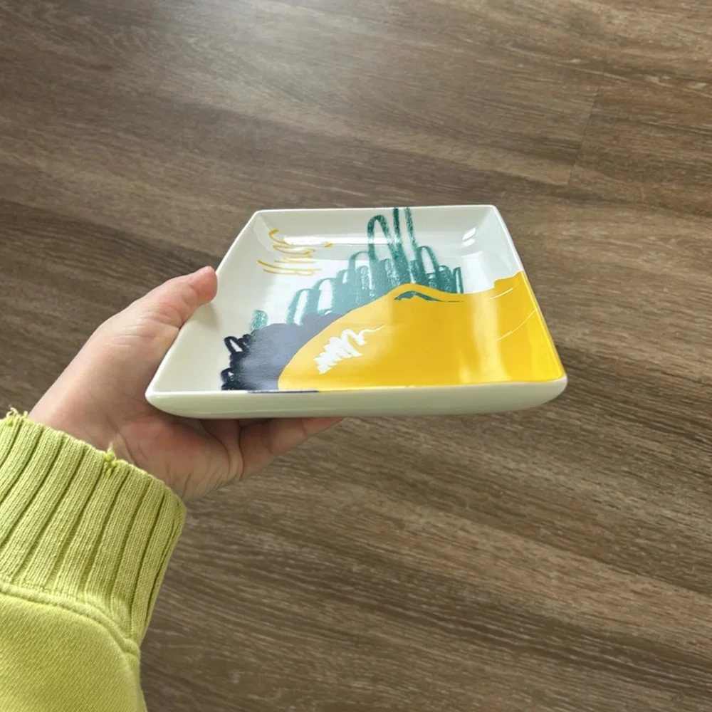 Crate&Barrel sour dish
